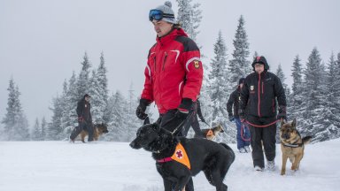 Планински спасители от отряда в Банско издирват изгубил се в