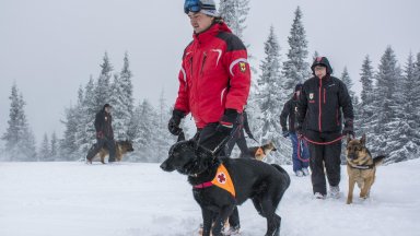 Включиха и кучета в издирването на 22-годишния младеж, изчезнал на Витоша
