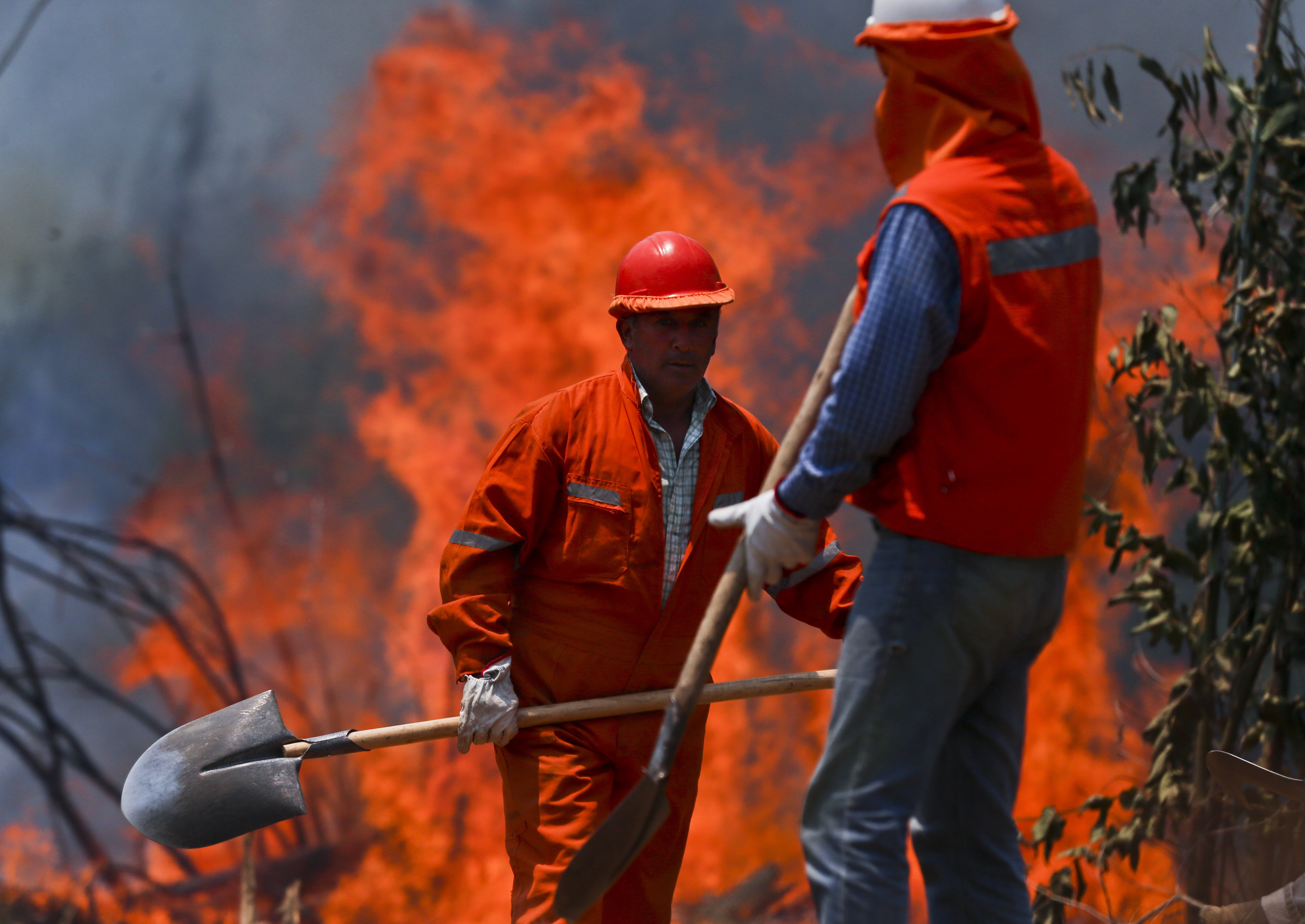 Опустошителни горски пожари бушуват в Чили