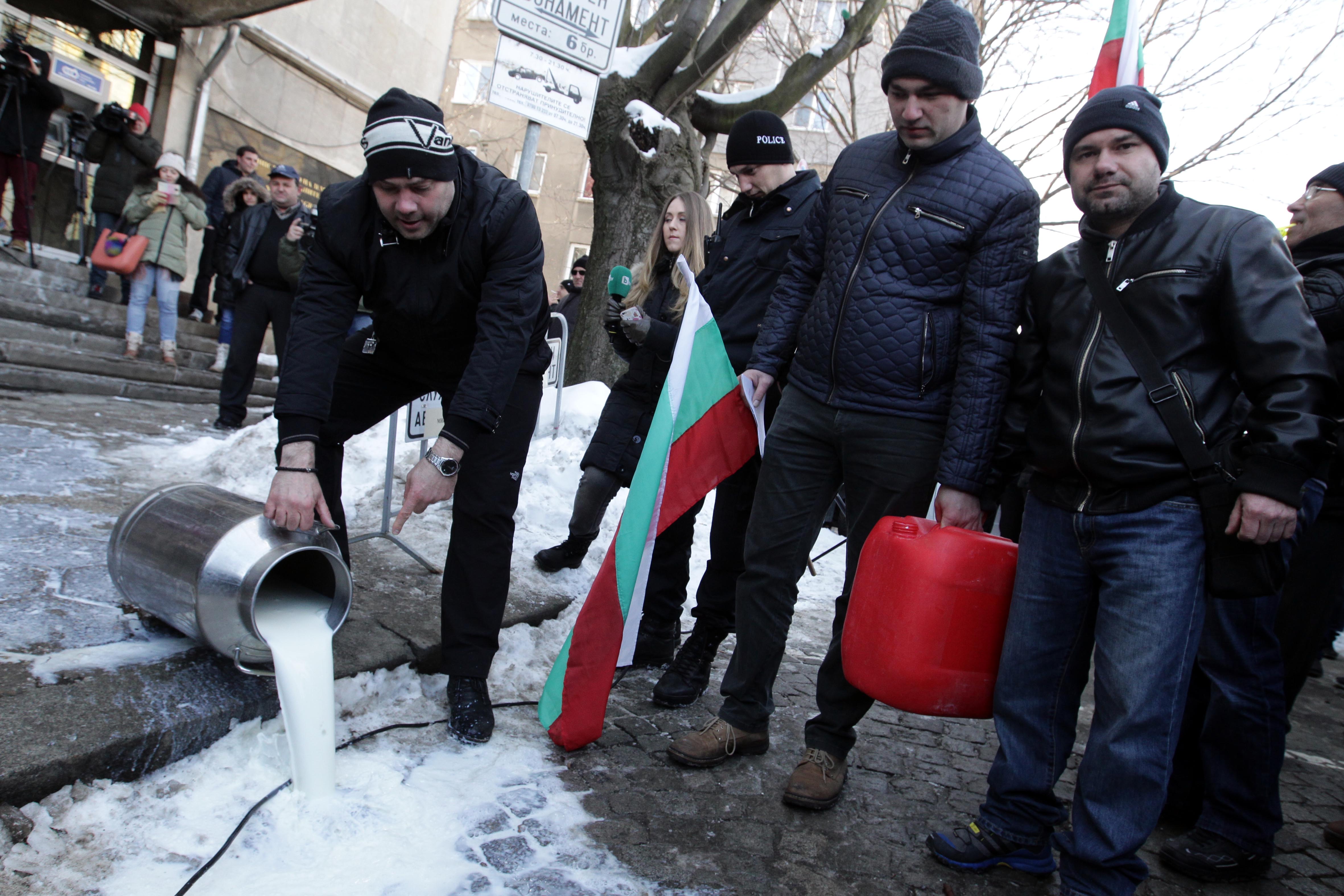 Фермери протестно изливат мляко