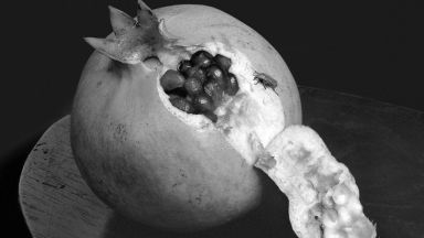 Иглена Русева се покланя на черно-бялата фотография