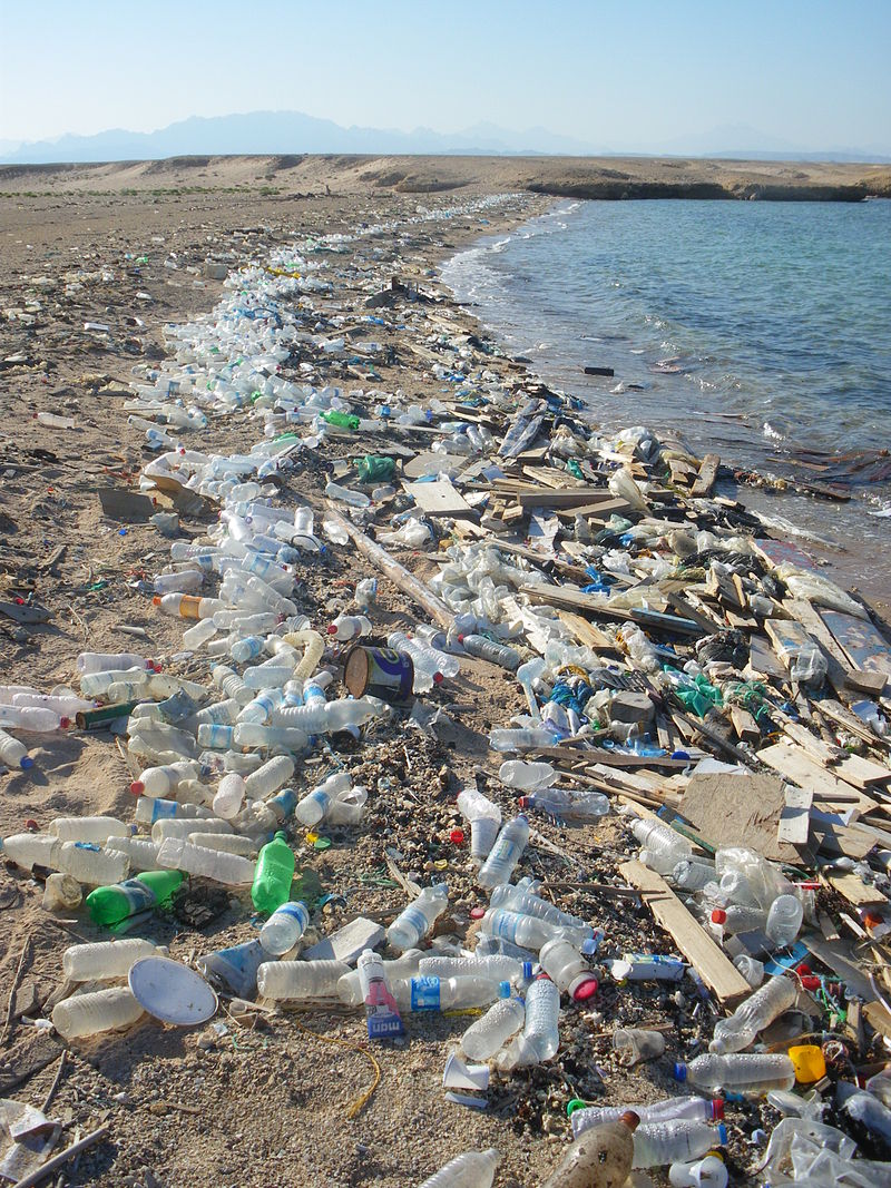 Безконтролното замърсяване на моретата и бреговете отдавна вече е световен проблем