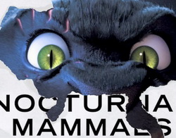 Създателите на "Зоотрополис" си правят шеги с претендентите за "Оскар"