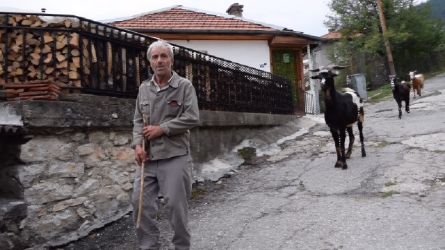 Нападнат от мечка осъди държавата да му плати 15 000 лв.