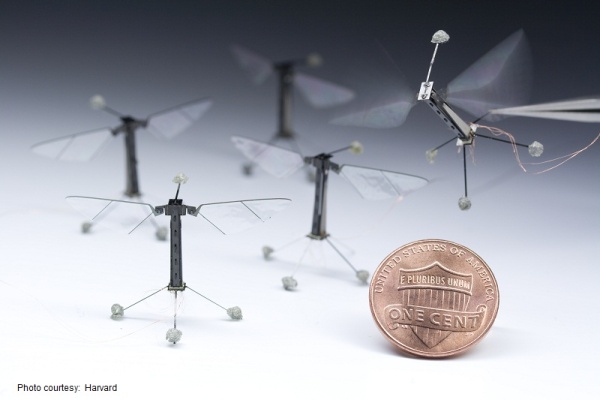 Рояк от дронове-насекоми на DARPA