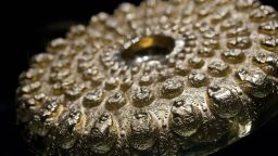 Оригиналът на Панагюрското златно съкровище ще гостува в Панагюрище