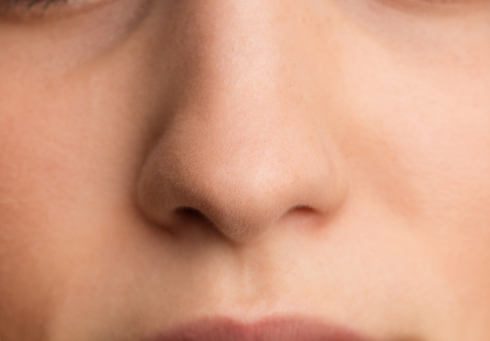 Било констатирано, че историята на еволюцията на носа е комплексна
