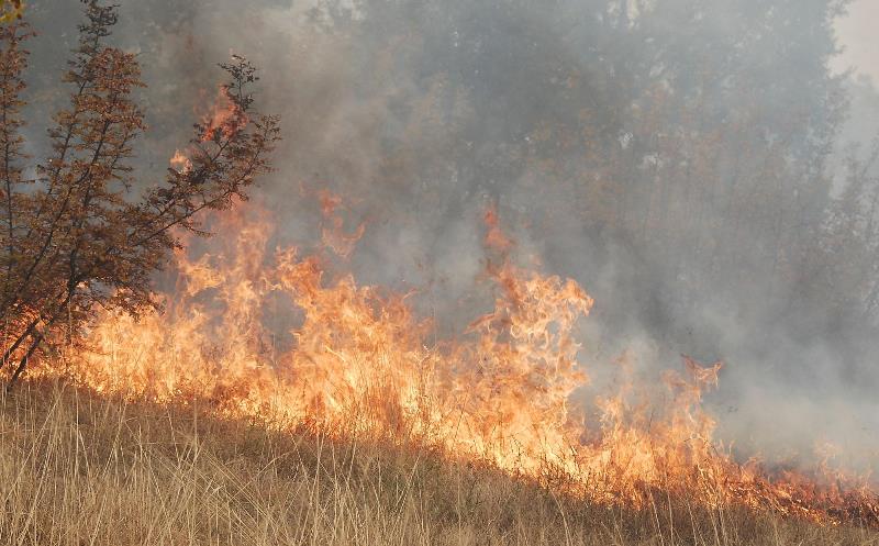 Пожарът в Тополовград се разраства към Турция
