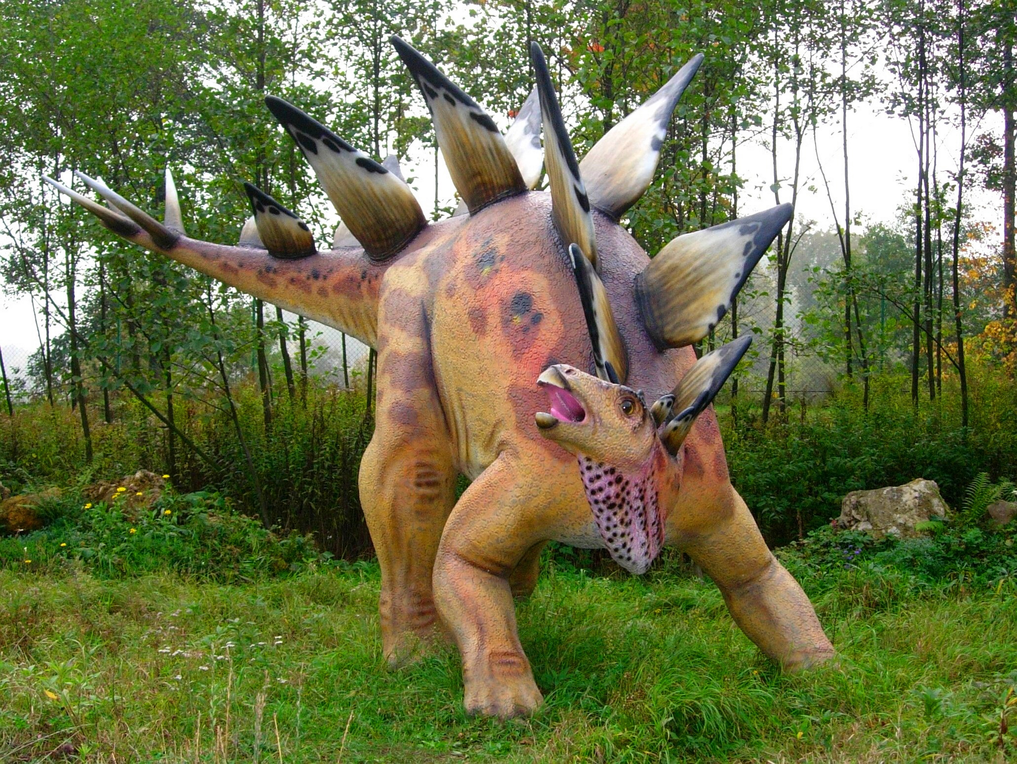 Палеонтолози установиха, че и в Австралия са живели странните създания стегозаври