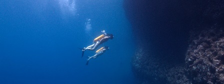 Тийзър на филма за Жак-Ив Кусто