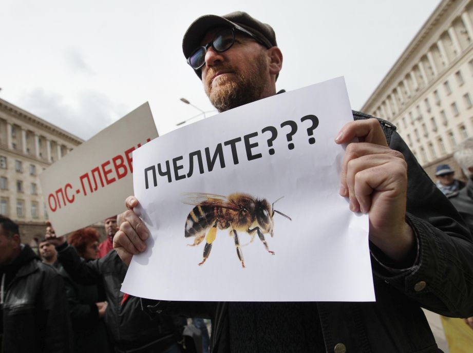 Пчеларите: Пестициди убиват масово пчелите