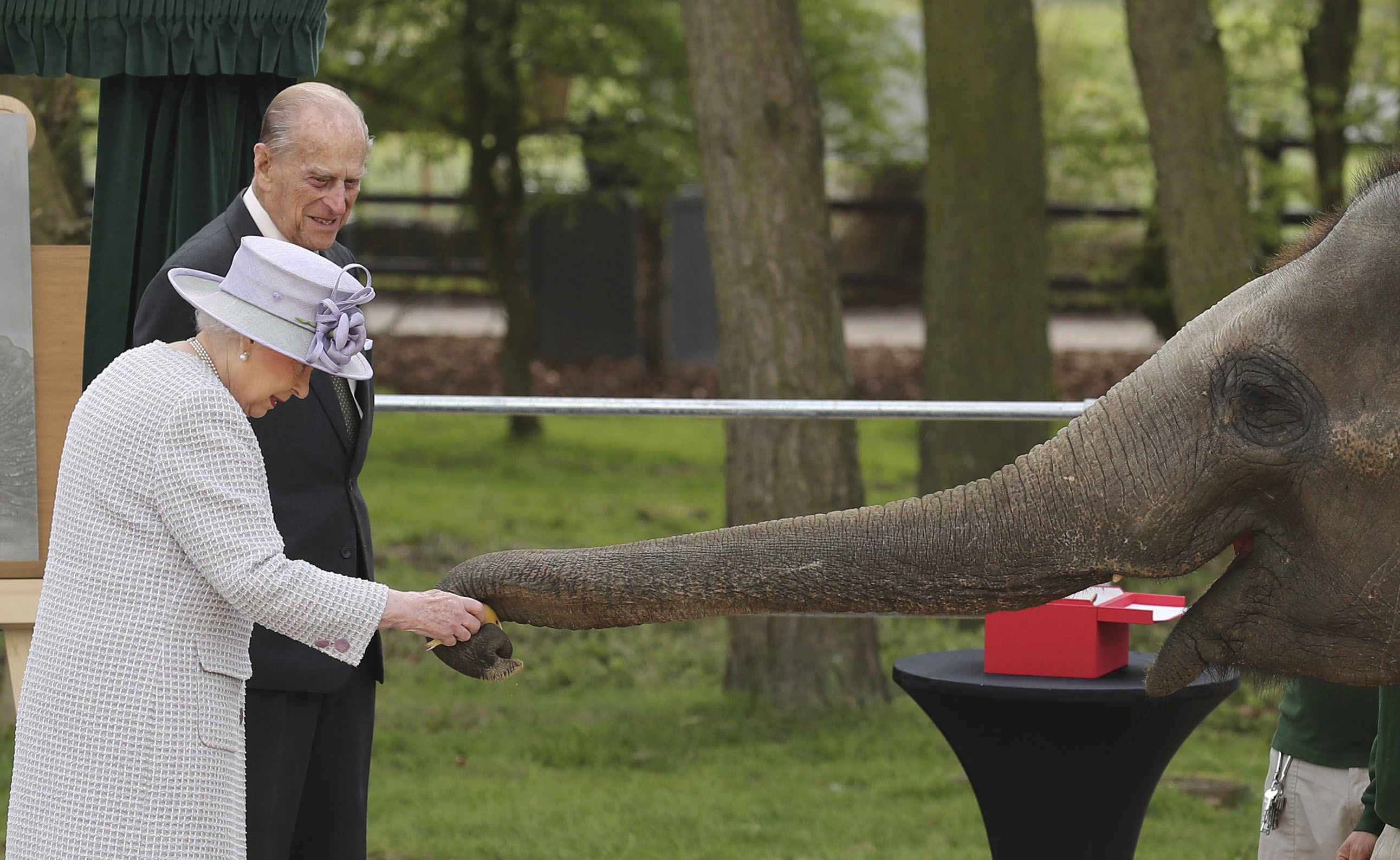 Принц Филип и кралица Елизабет II хранят слон