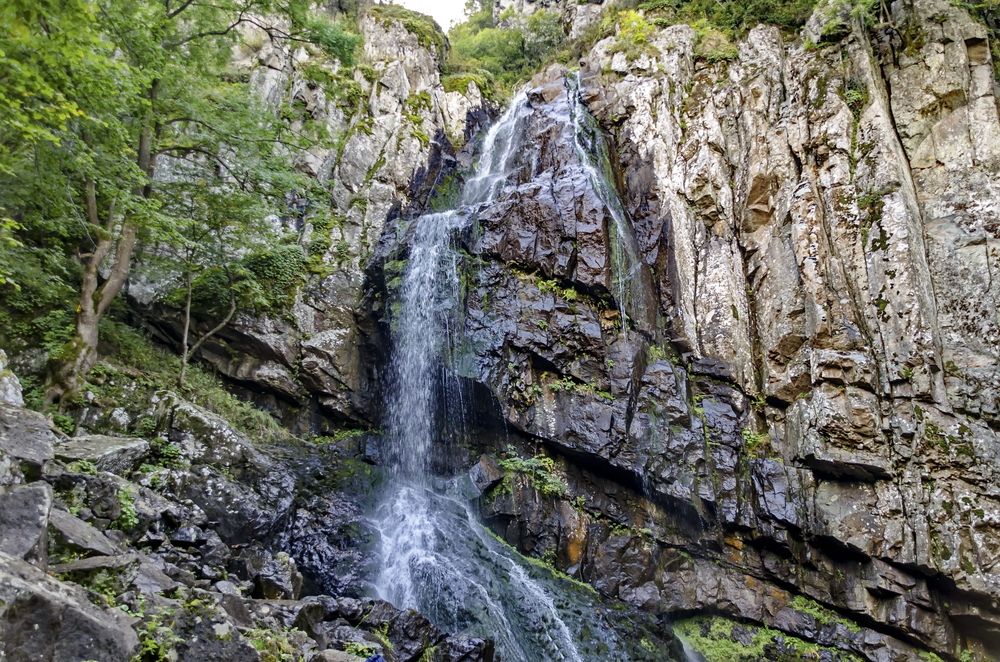 Спасителната акция е проведена в района на Боянския водопад