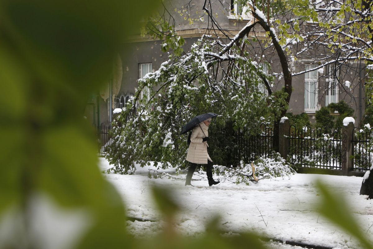 Априлски сняг натрупа на много места в страната