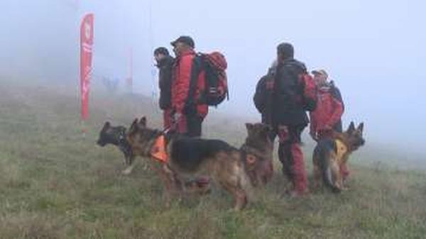 Планински спасители са оказали помощ на двама туристи в района