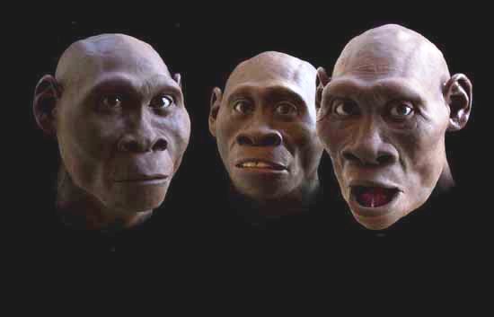 Прачовеците са могли да говорят още преди 3 милиона години