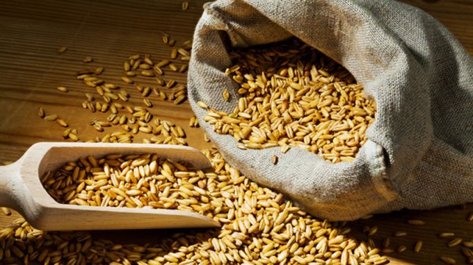 Цената на зърното е с 6% по-висока в сравнение със същия период на миналата година
