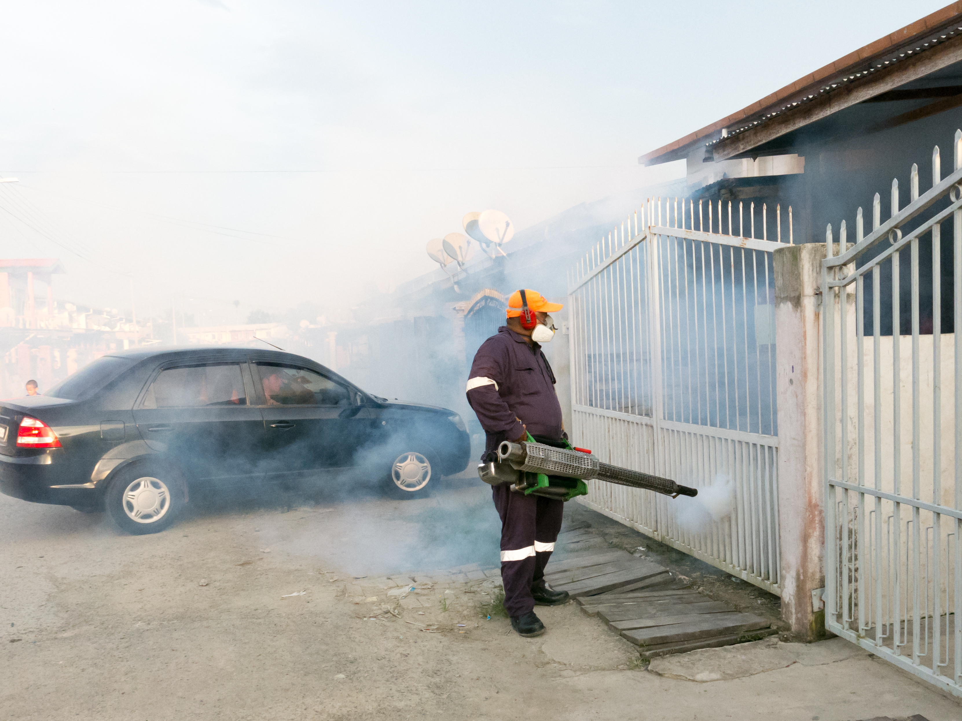 Започва пръскане срещу комари в Пловдив