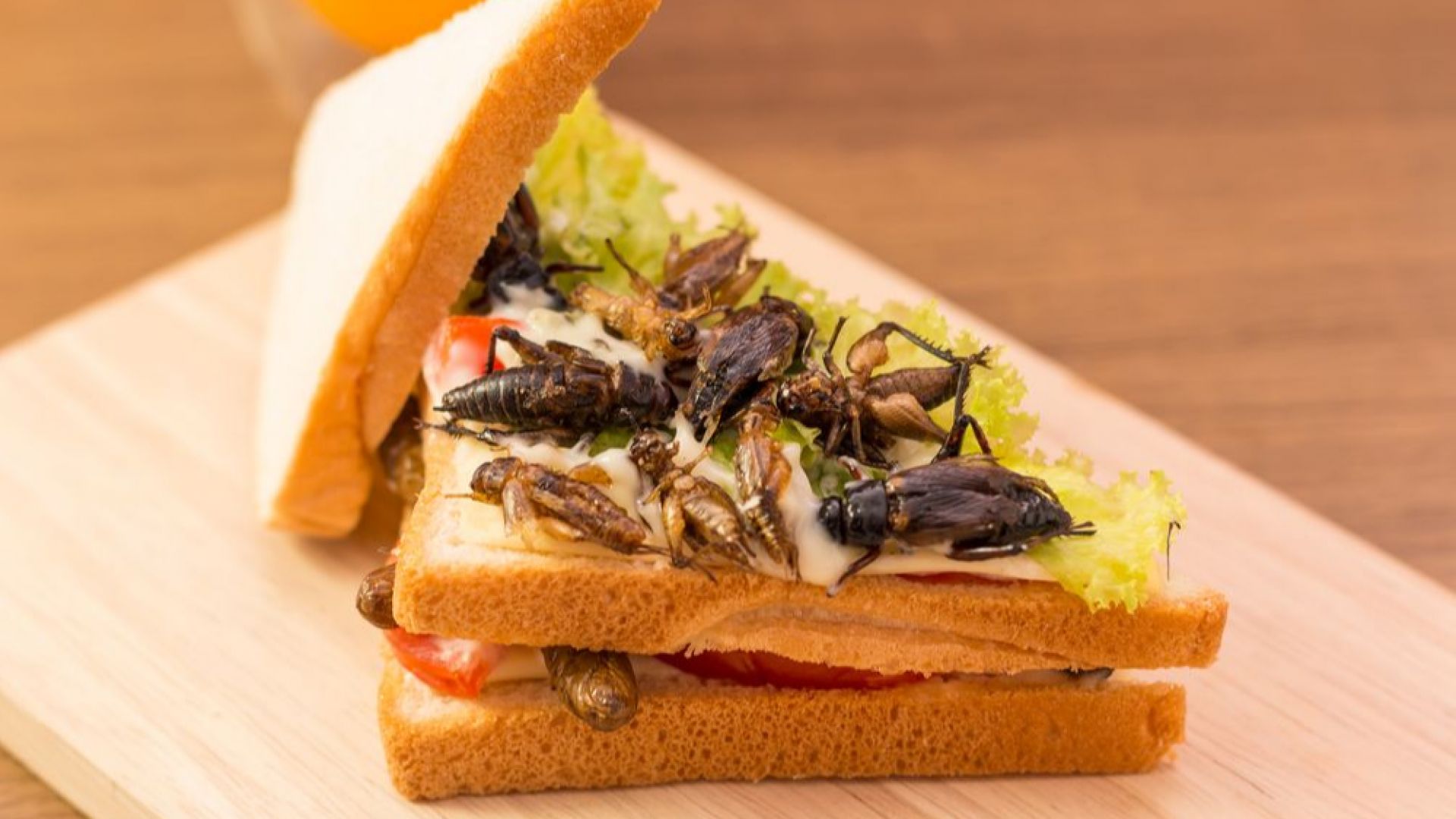 Вендинг машина с храни от насекоми стана хит