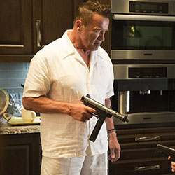 Арни в нова екшън-комедия