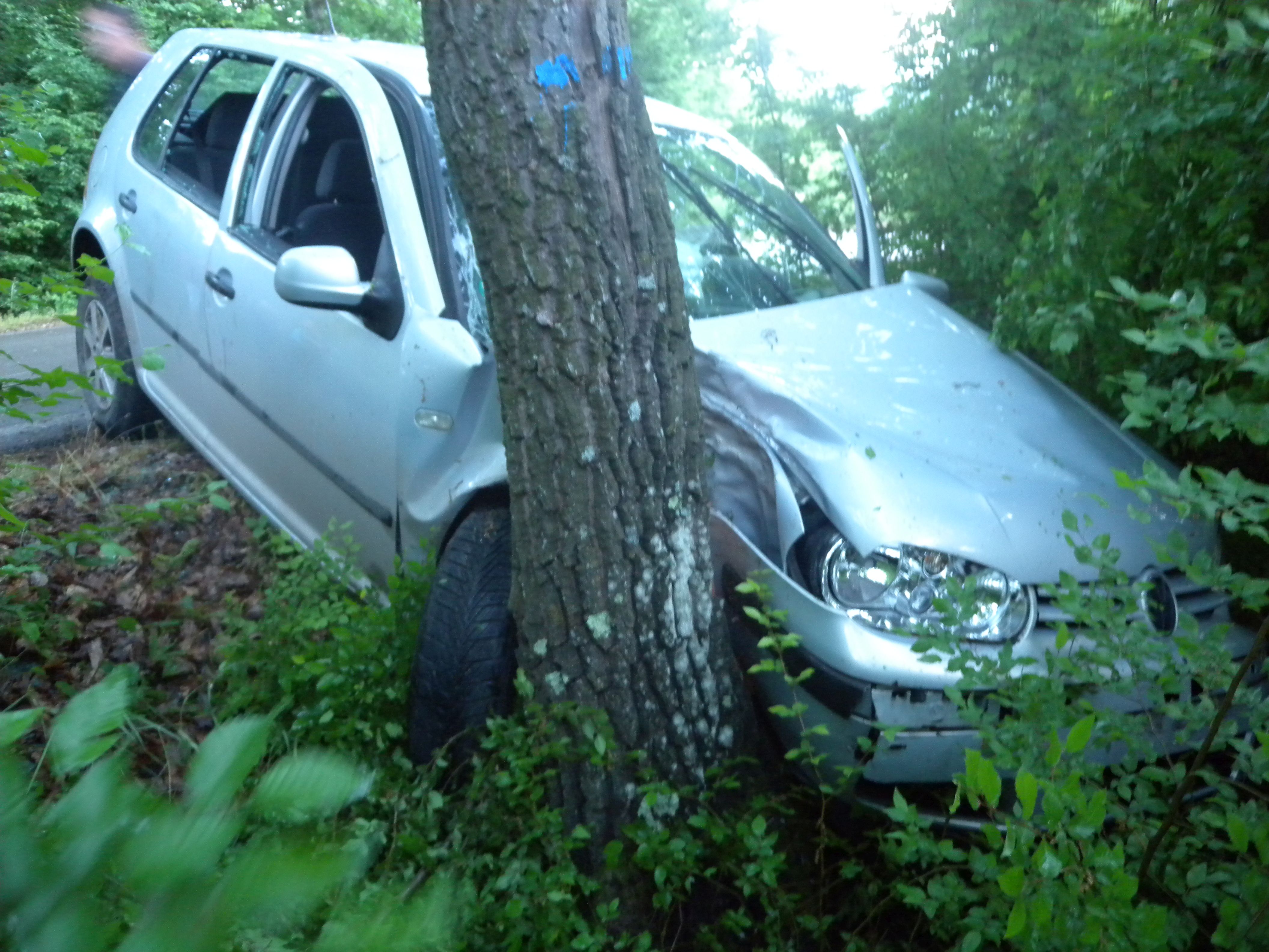 Колата на младежите изхвърча от пътя на завой и се удря в дърво