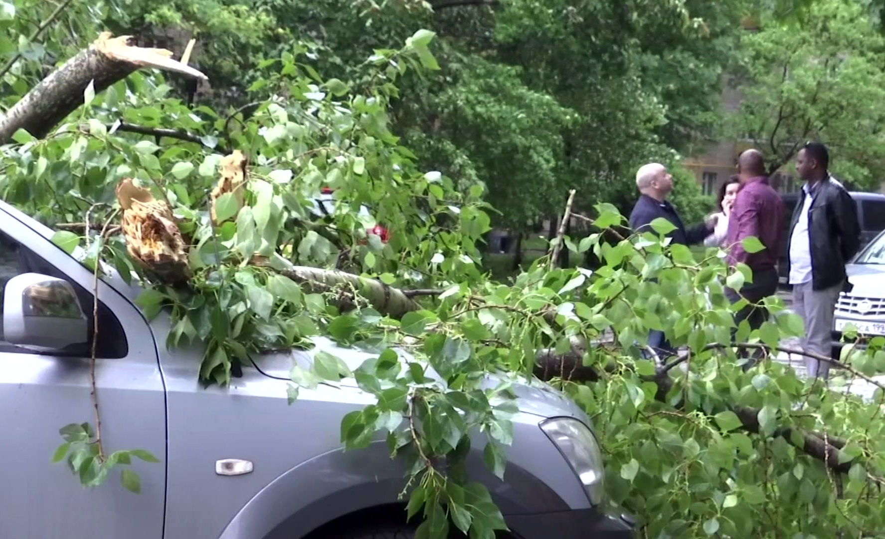 1300 души се борят с щетите от урагана в Москва, 14 загинаха