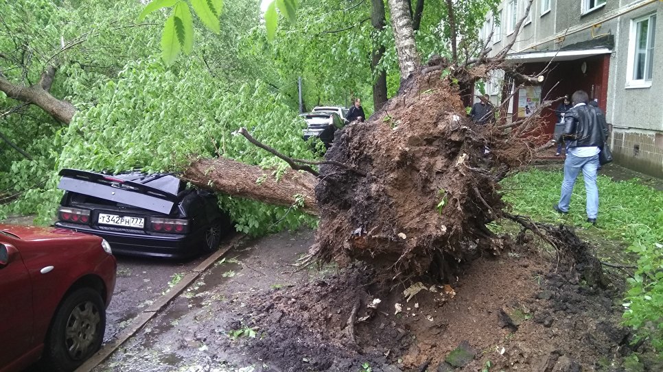 Броят на жертвите от урагана в Москва нарасна на 16