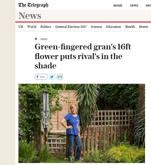 Британка отгледа 5-метрово цвете