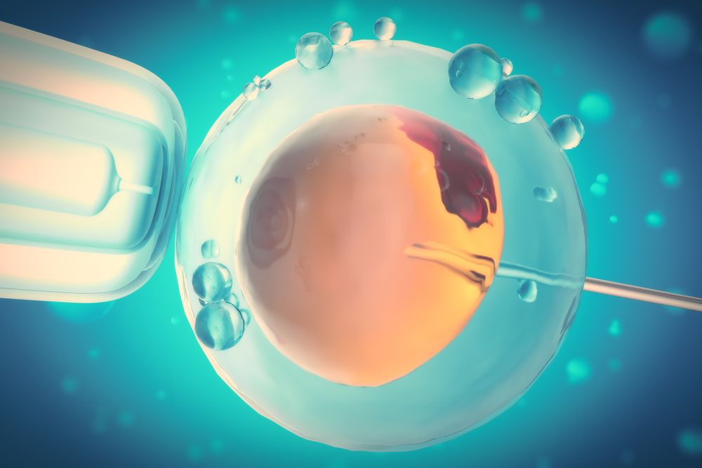 Учените предупредиха, че трябват още изследвания преди оплождане на такава яйцеклетка