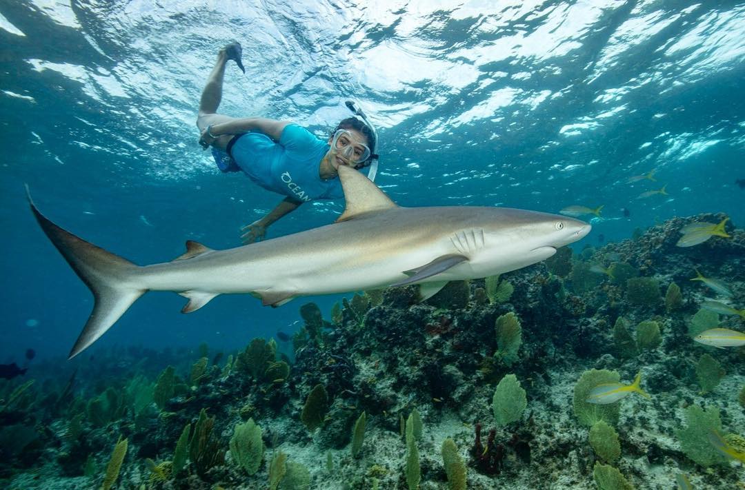 Нина Добрев плува с акули на Бахамите