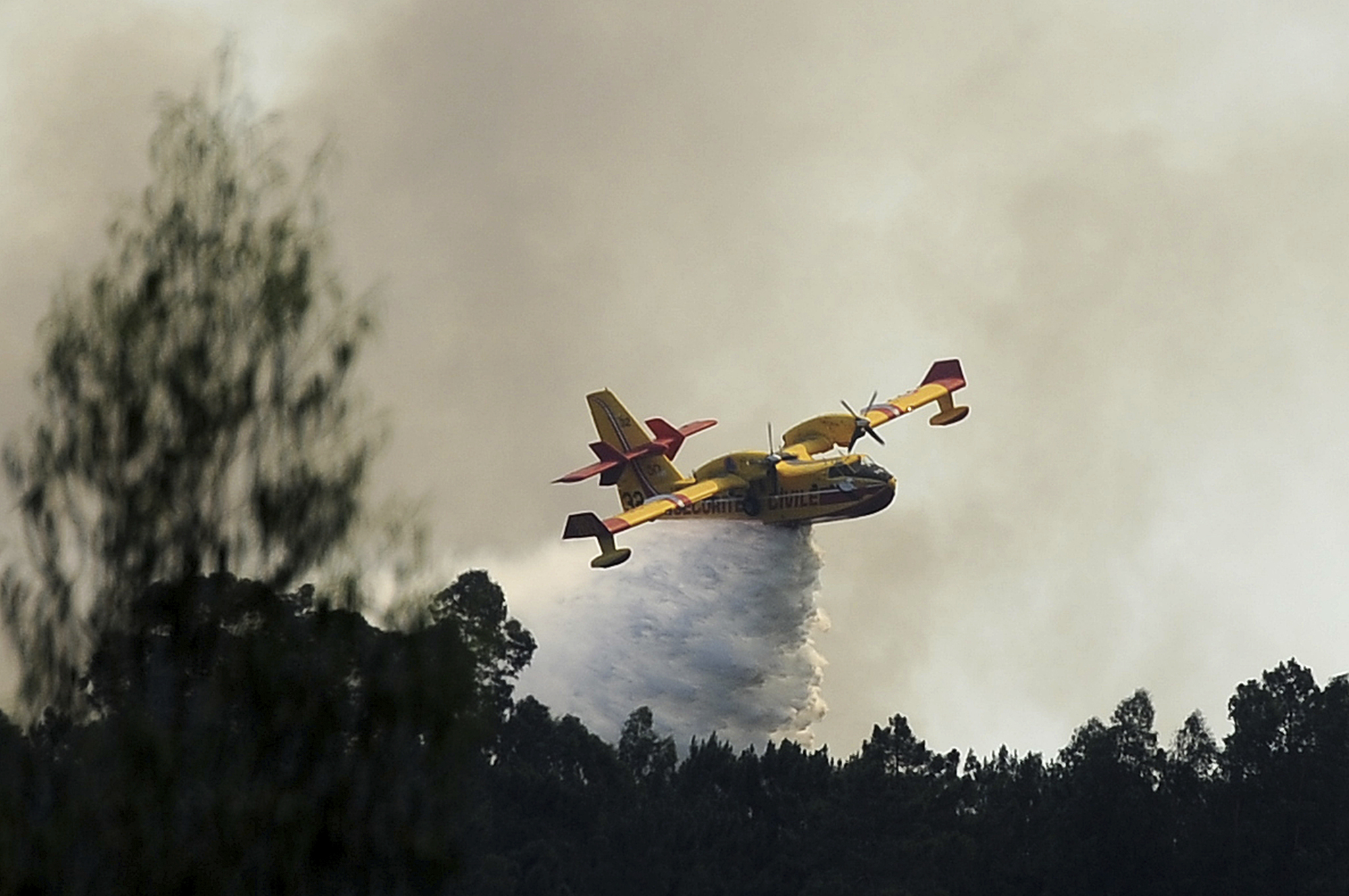 Спряно е разпространението на горските пожари в Португалия