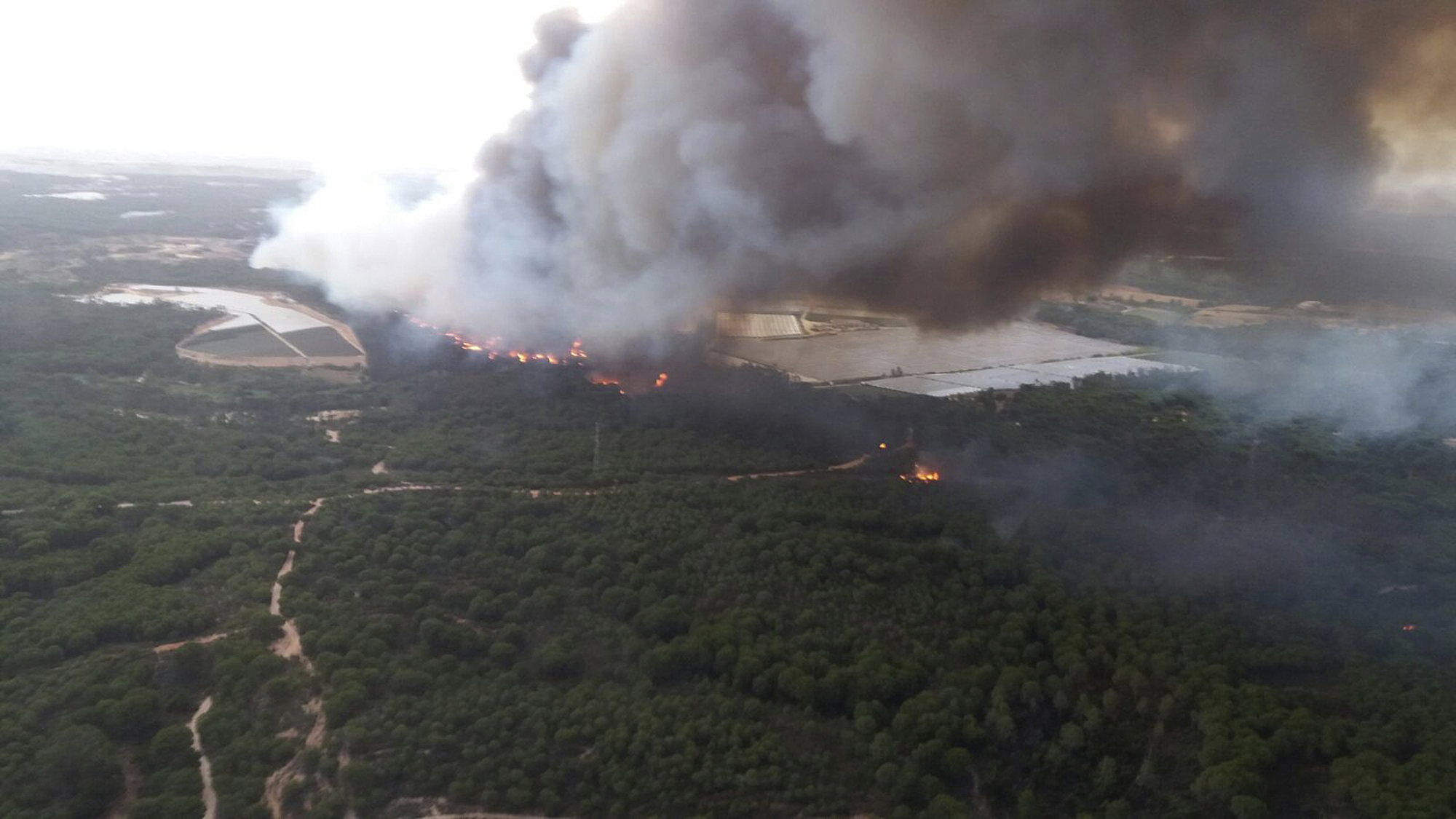 Пожарът в Испания бързо обхвана обширна площ заради сухото и горещо време