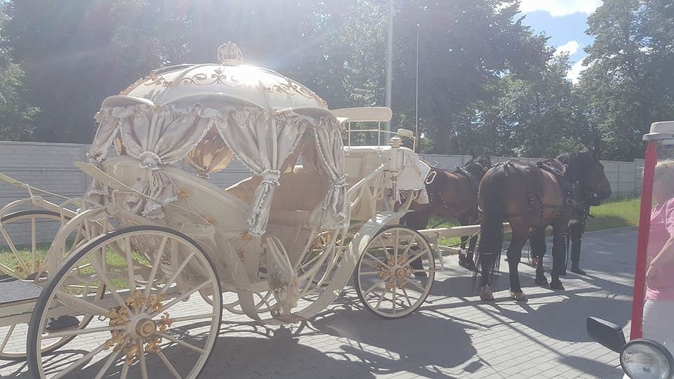 БГ роми втрещиха полска болница с оркестър и златна карета