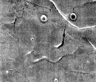 НАСА откри ново ”лице” на Марс