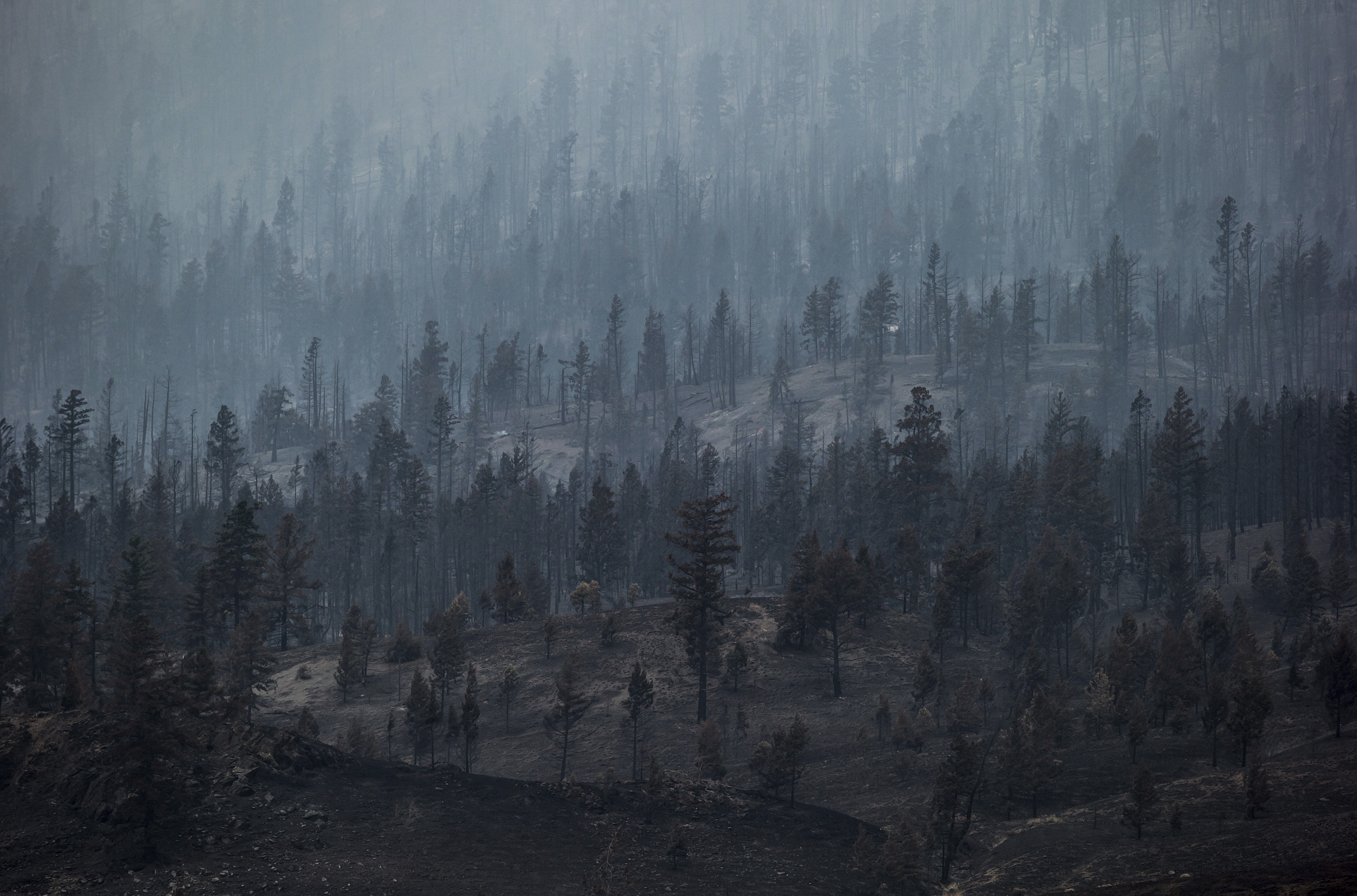 14 000 души са евакуирани поради горски пожари в Канада