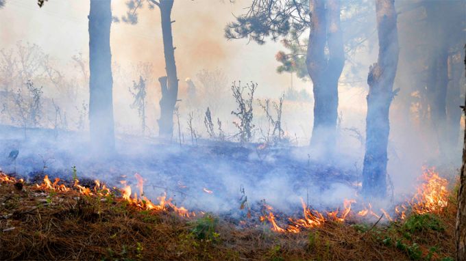 Предлагат промени в Закона за опазване на земеделските земи с цел превенция на пожарите