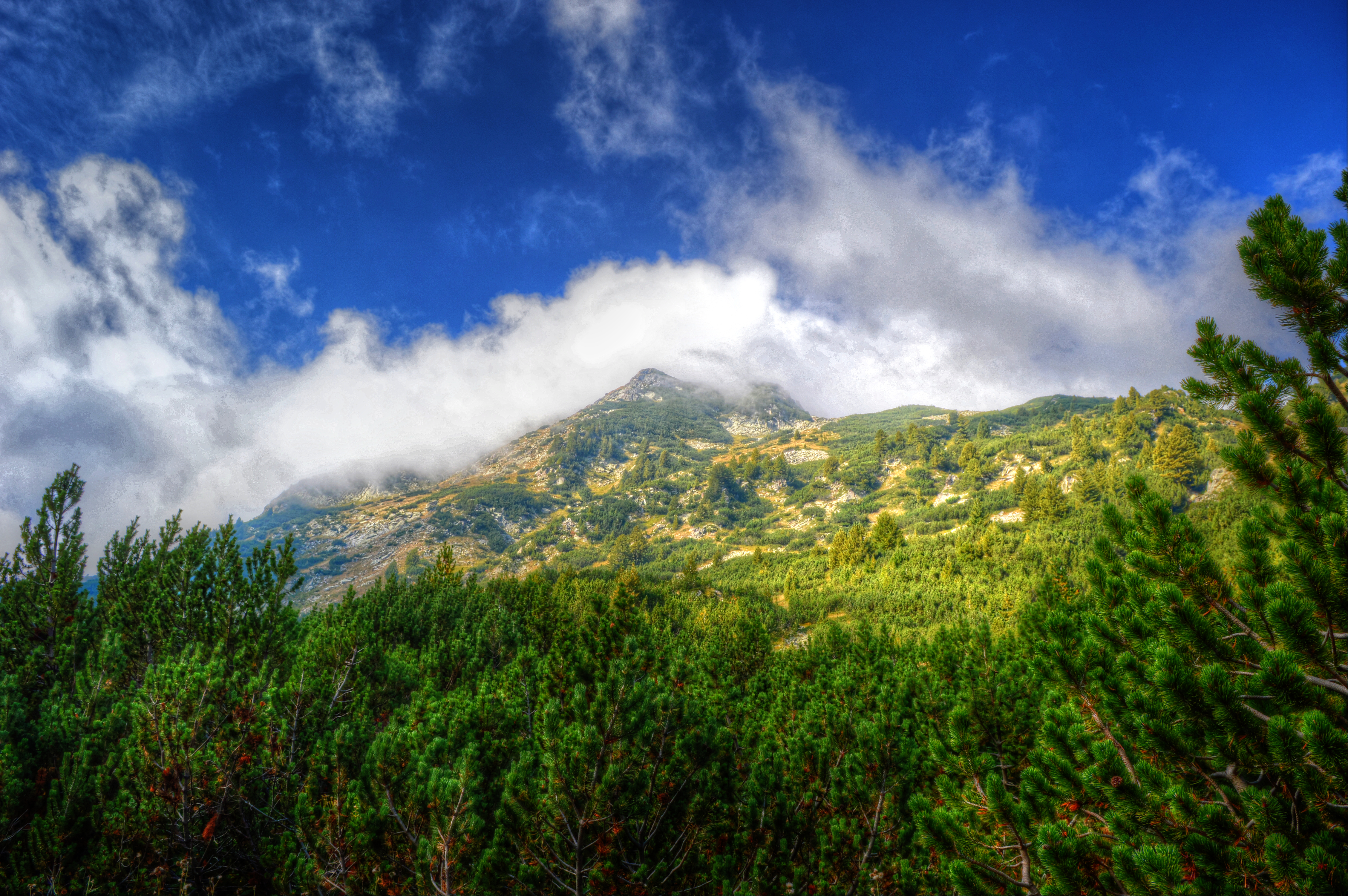 Уикенд на Вихрен