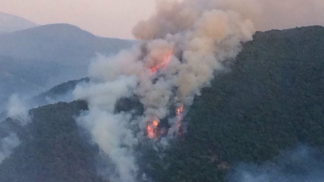 Голям пожар гори в района на с. Стара Кресна