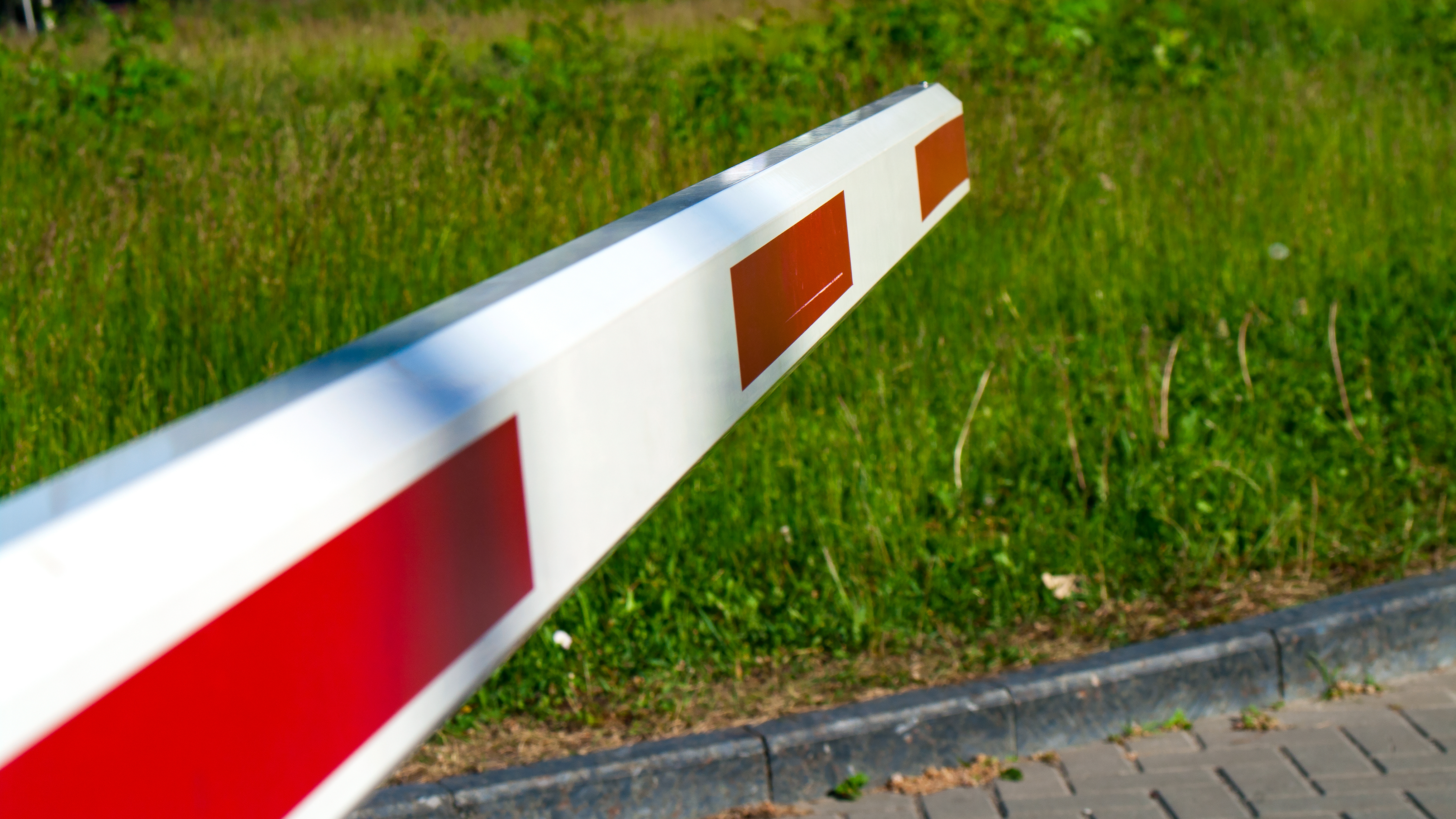 С цел ограничаване на разпространението на шапната епидемия са затворени