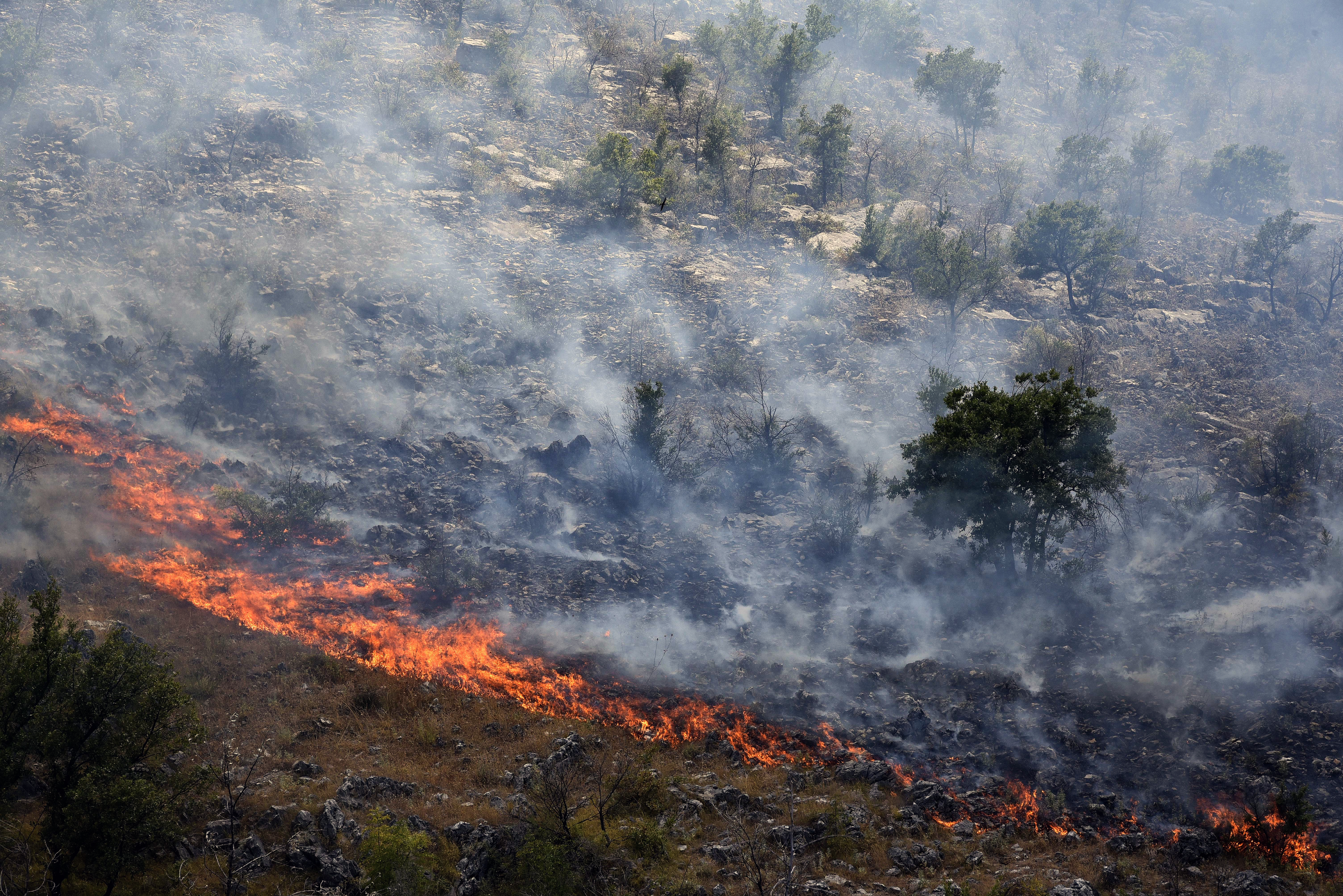 Черна Гора иска международна помощ против  горските пожари