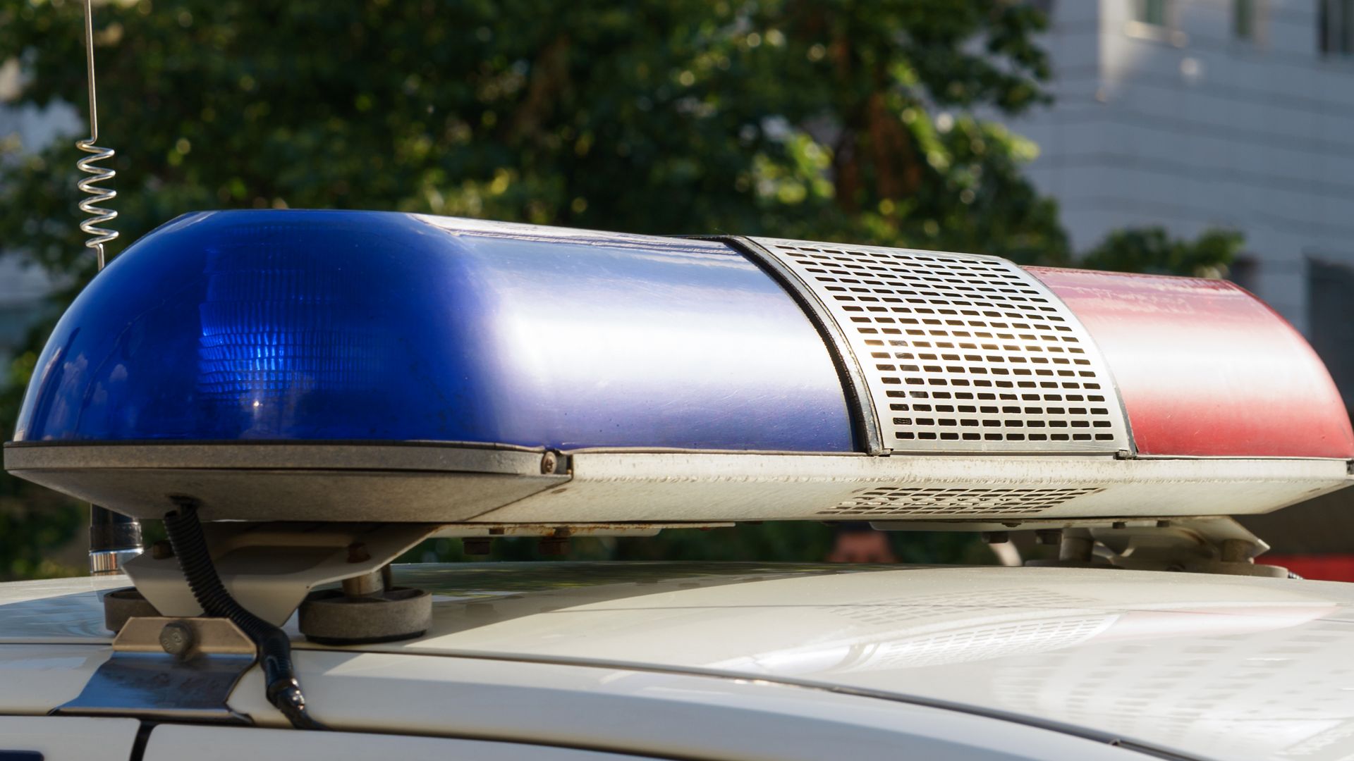 54 годишен шофьор блъсна и уби пешеходец във Варна днес Инцидентът