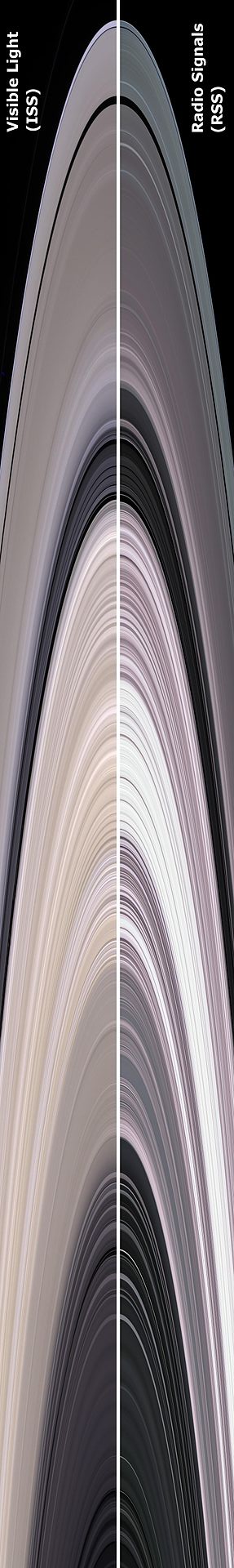 Пръстенитте на Сатурн