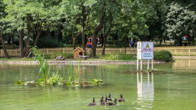 Концепцията за реализация на Зелен ринг София представи главният архитект