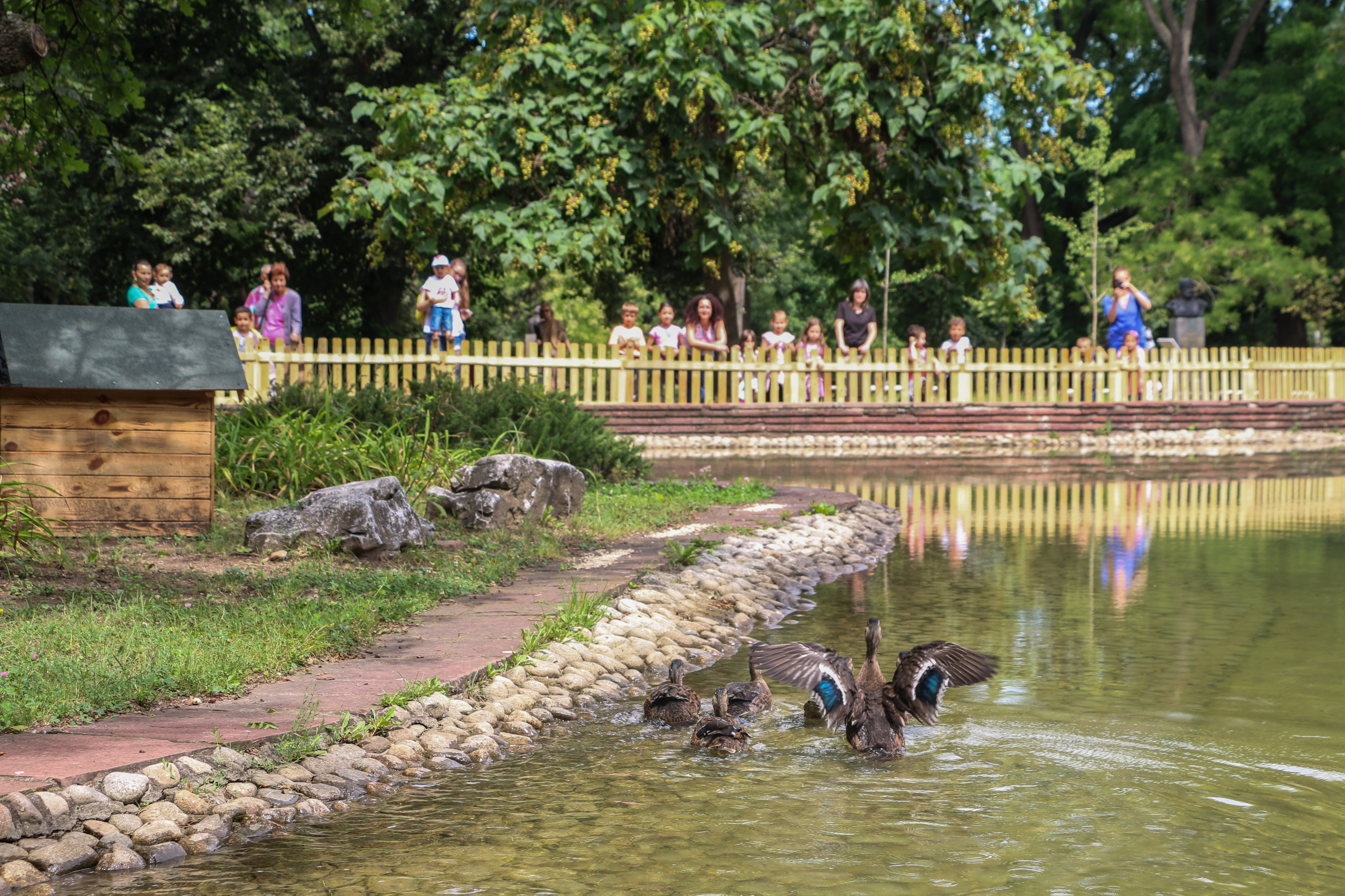 Най големият градски парк у нас Борисовата градина в София е