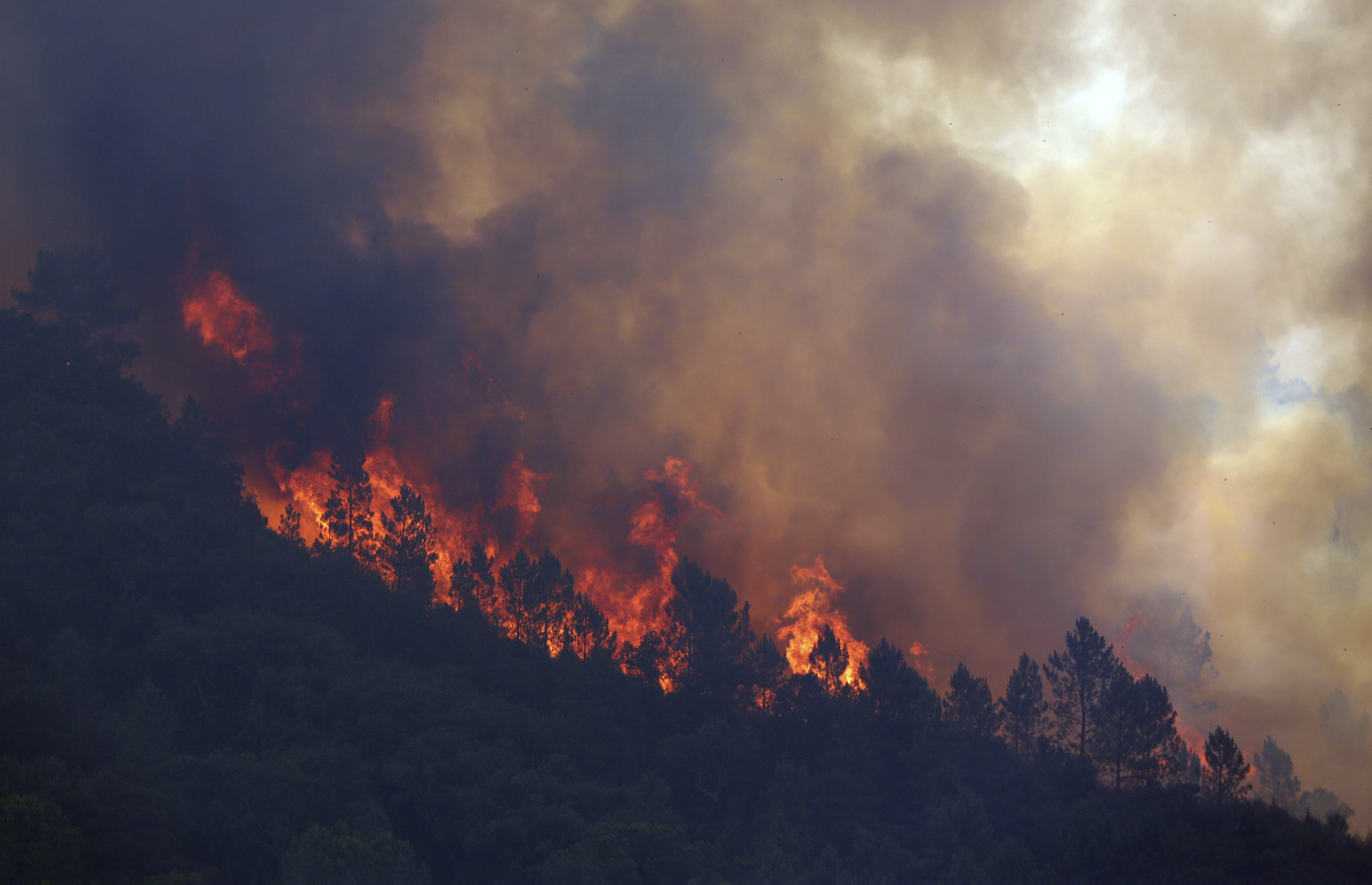 Предупредиха за висок риск от пожари в Гърция