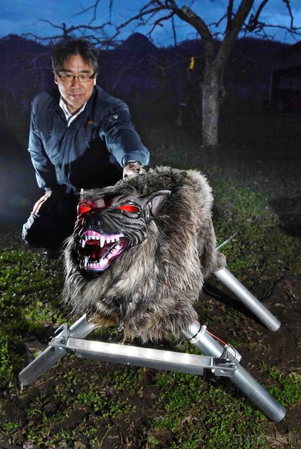 Японци създадоха робот-вълк (видео)