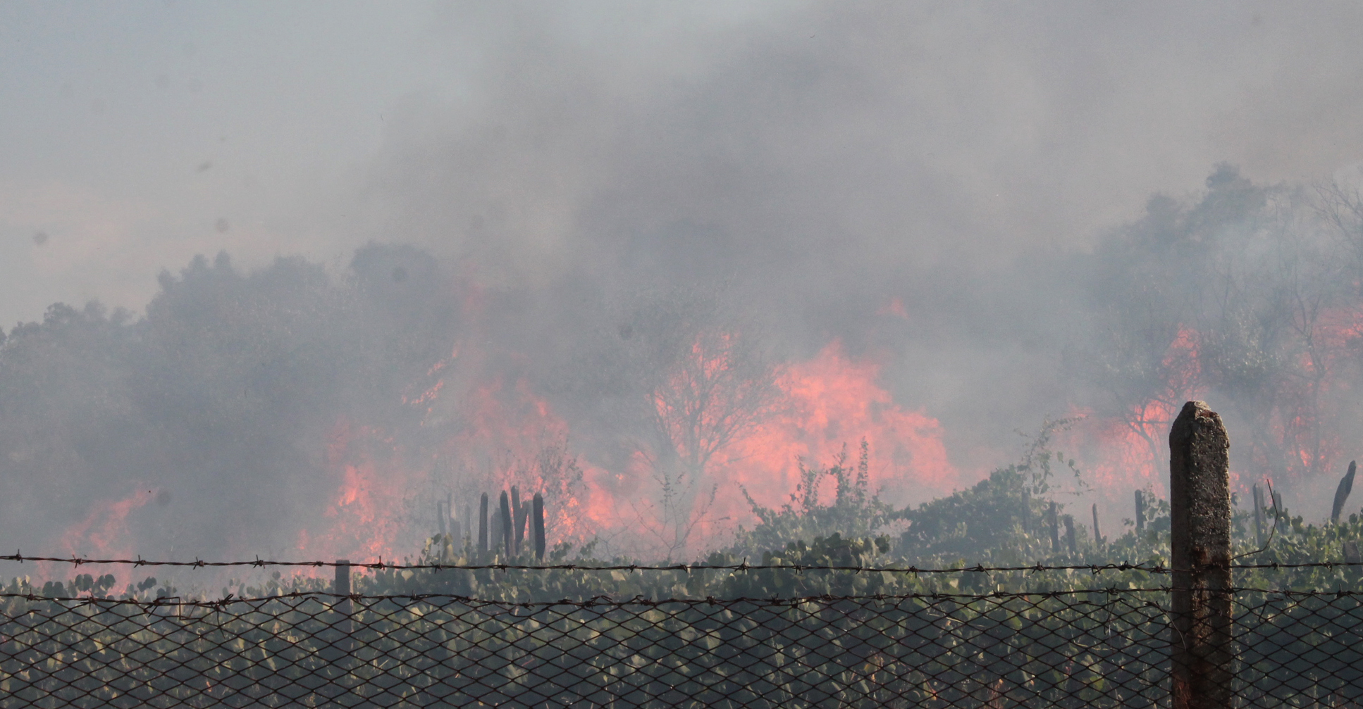Пожари бушуват в Сакар планина, помага 60-тонен булдозер