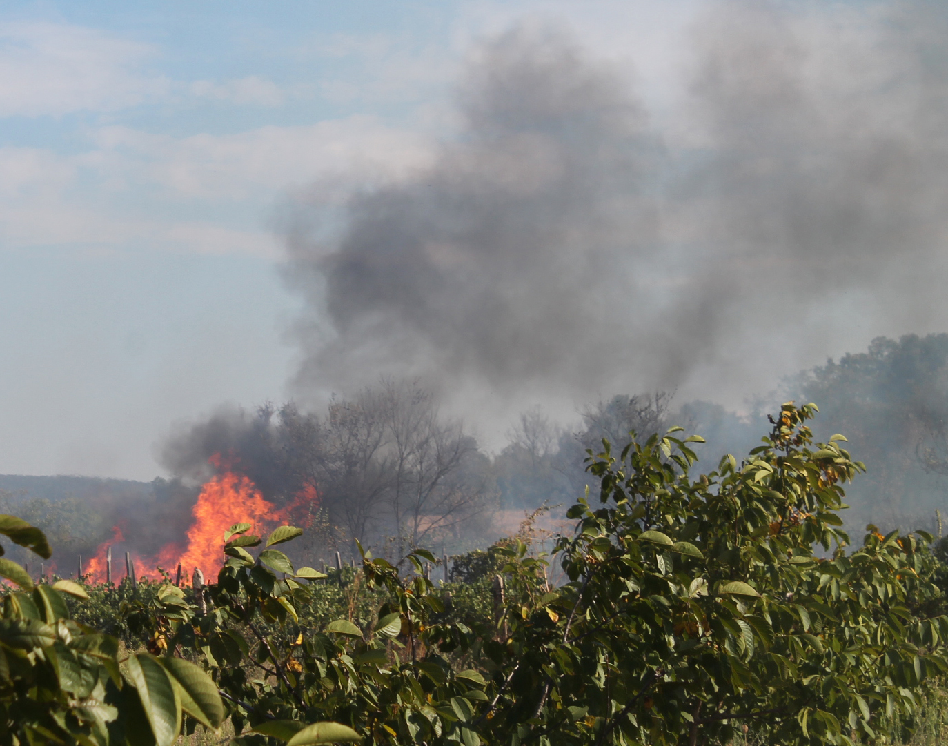 Продължава борбата с огнената стихия в Хасковска област