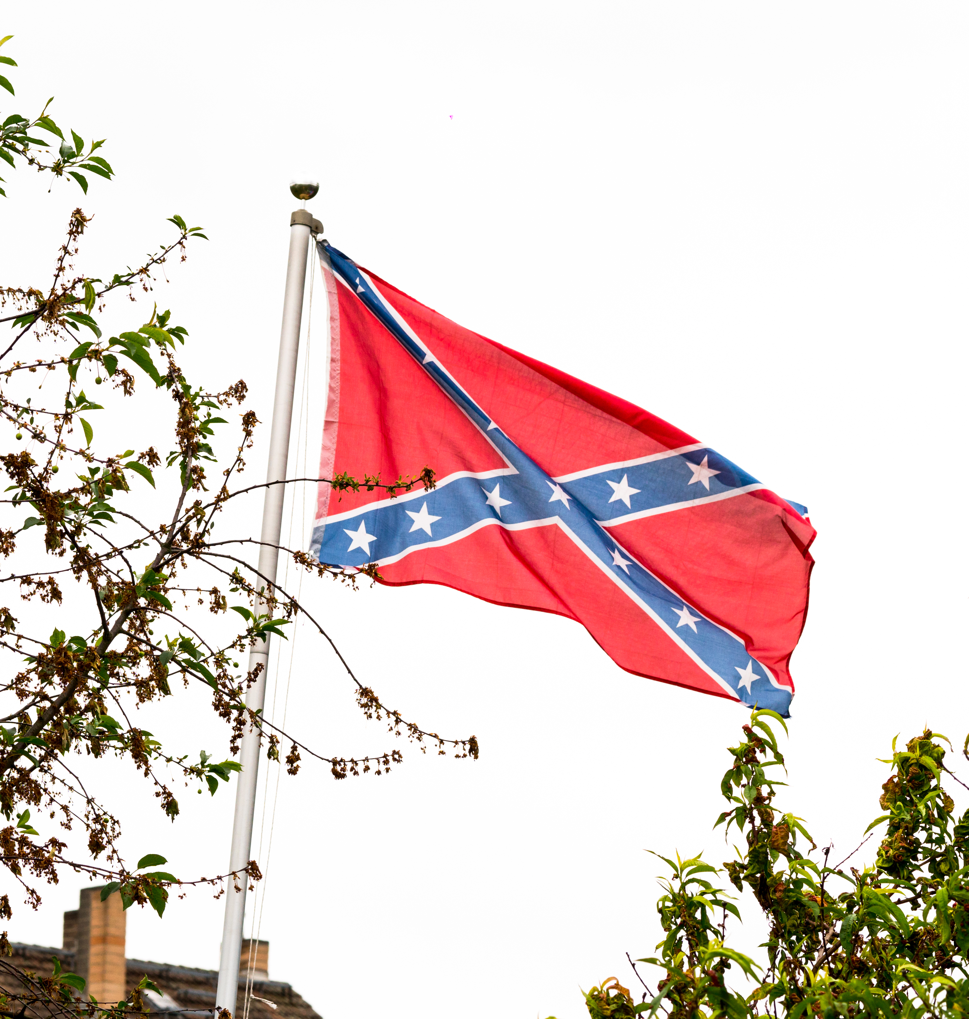 Знамето на Конфедерацията все по-често може да се види в американския Юг