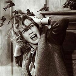 „Птиците” се завръщат, но на малък екран